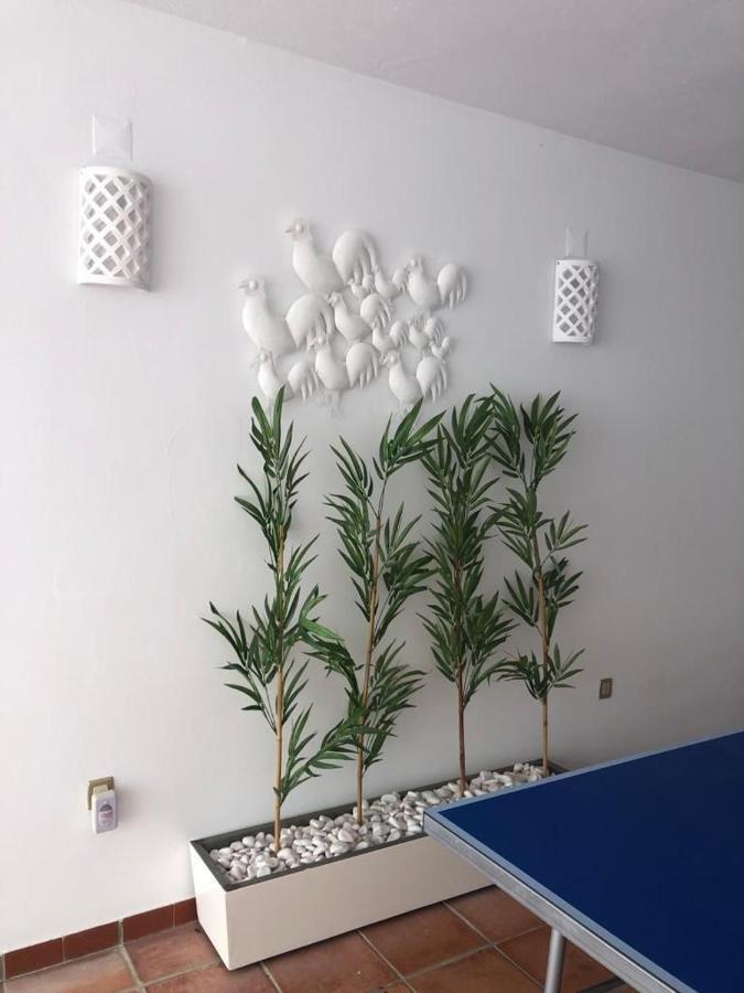 Ofir Beach House Bonanca Esposende Exterior photo